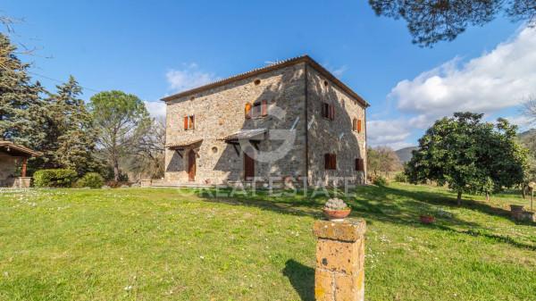 Casale in Strada Provinciale 101, Orvieto — foto 2 di 5