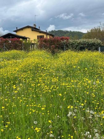 Villa in Via Puianello 260, Serramazzoni — foto 5 di 5