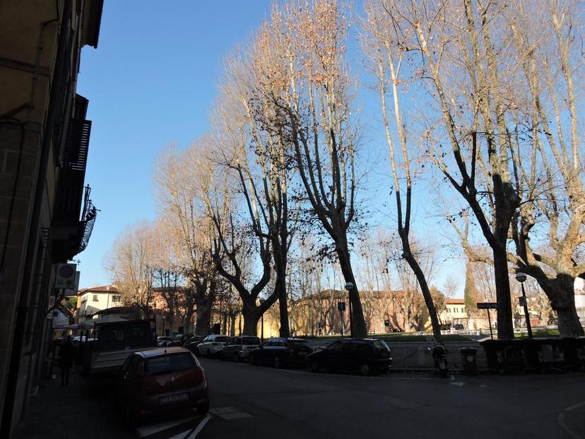 Quadrilocale, Pisa
