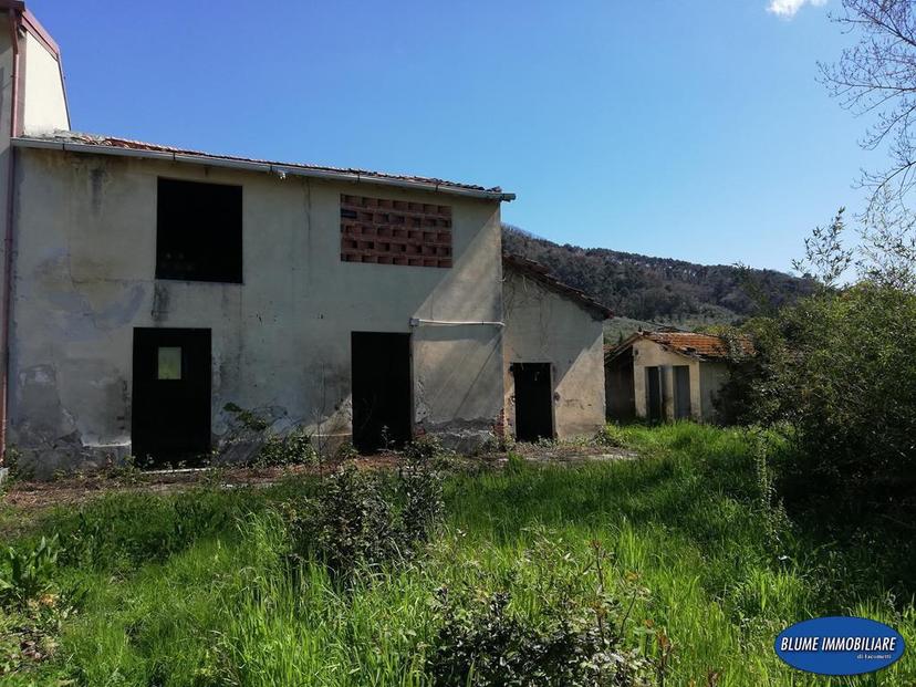 Rustico, Massarosa — foto 4 di 5