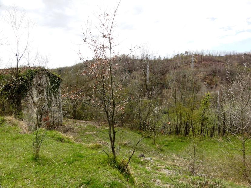 Rustico, Cairo Montenotte — foto 2 di 5
