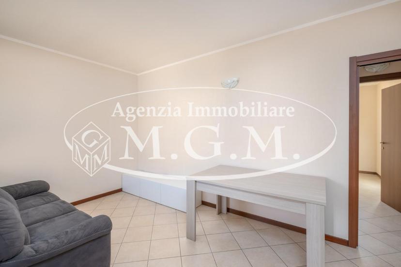 Trilocale, Bientina — foto 4 di 5