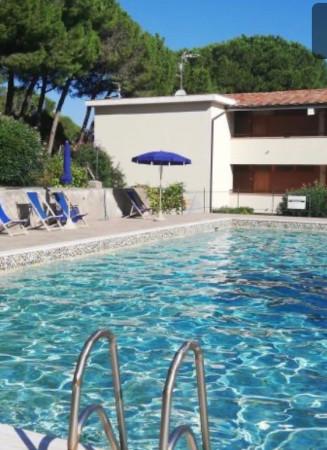 Bilocale, Monte Argentario — foto 4 di 5