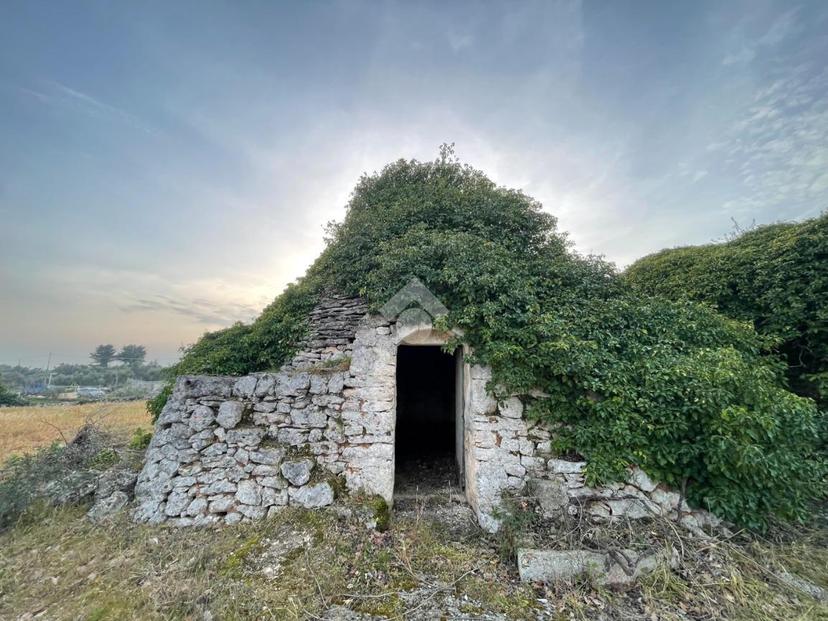 Rustico, Ceglie Messapica — foto 5 di 5