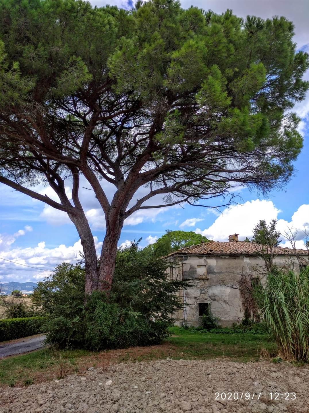 Rustico, Pomarance