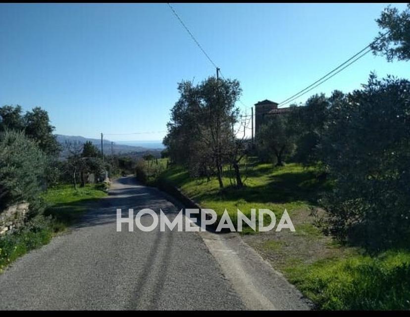 Casale in Casal Velino, Casal Velino — foto 3 di 5