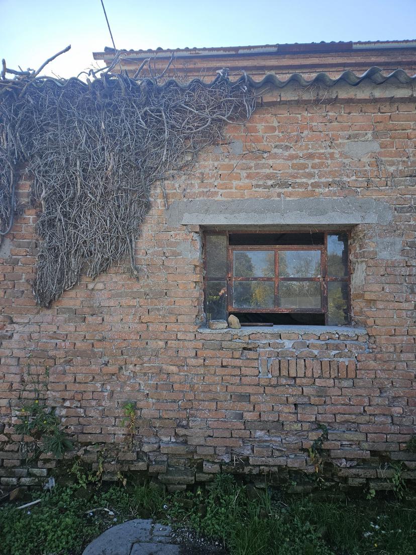 Rustico, Casale di Scodosia — foto 3 di 3