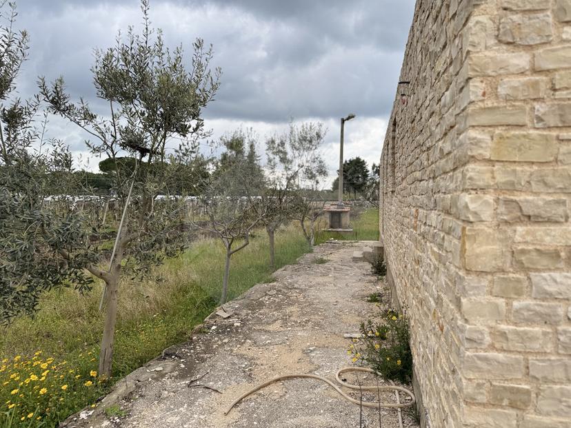 Villa in Via Castel del Monte, Andria — foto 2 di 5