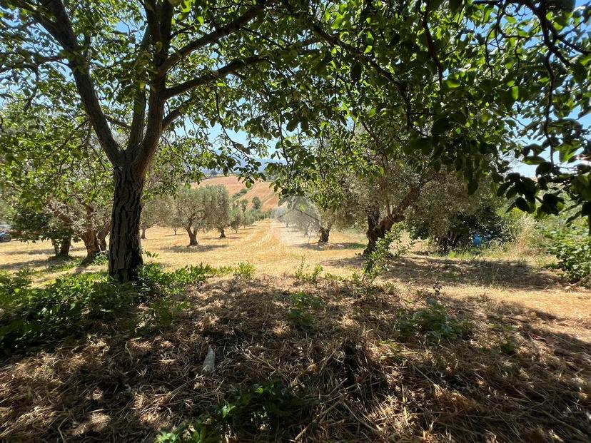 Casa indipendente in Località Contessa Sottana 18, Lattarico — foto 2 di 5