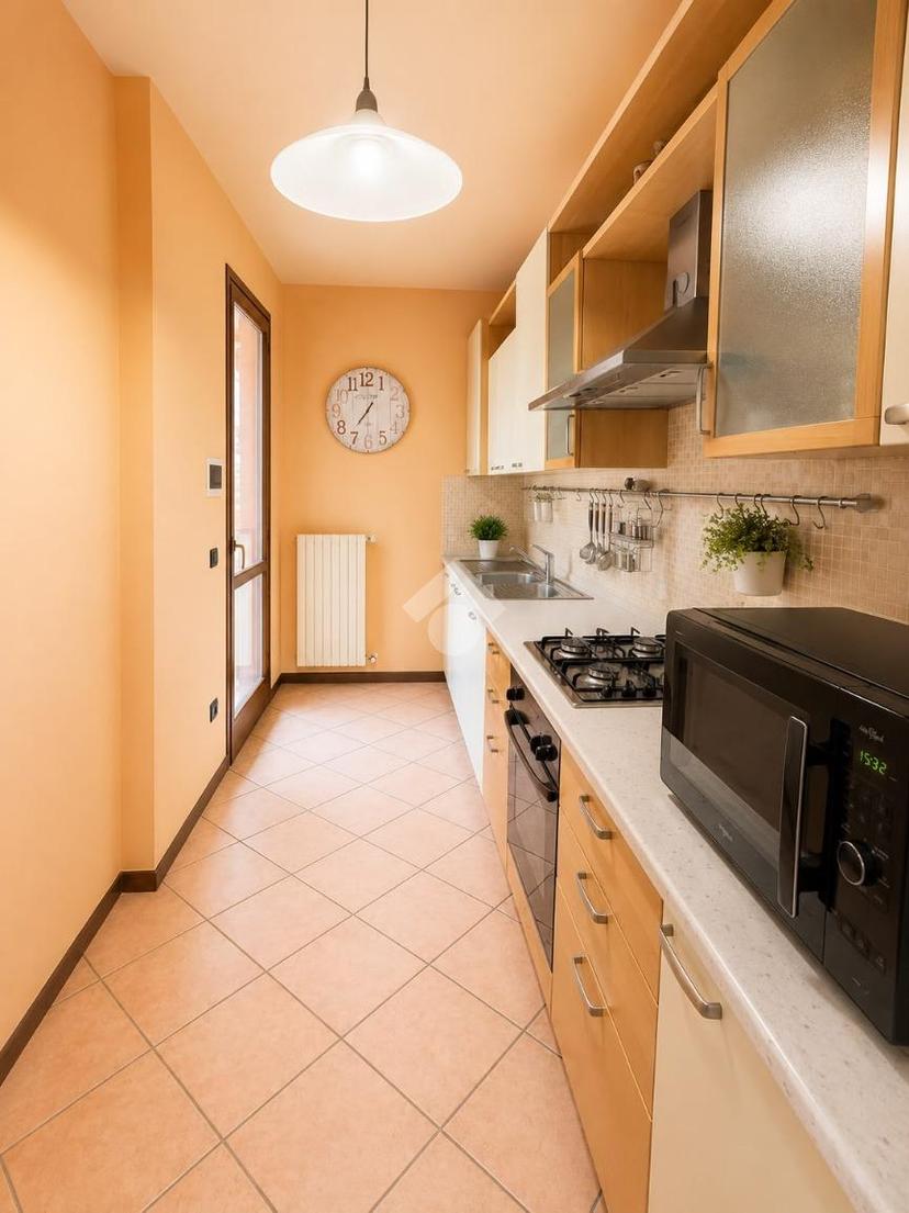 Villa a schiera, Medole