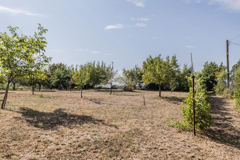 Villa in Str. Vicinale Fonte Grillo, Bassano Romano — foto 2 di 5