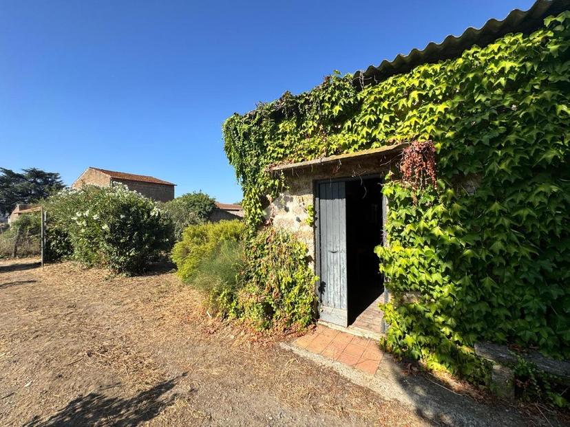 Rustico in Strada Tarquiniese, Tuscania — foto 3 di 5