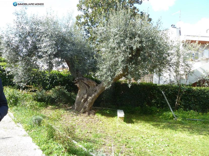 Villa in Via Lampedusa, Termoli — foto 5 di 5