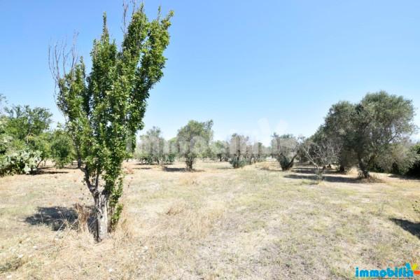 Rustico, Oria — foto 5 di 5