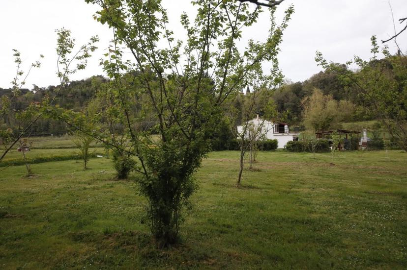 Casa indipendente, Crespina Lorenzana — foto 2 di 5