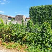 Rustico, Roverbella — foto 2 di 5