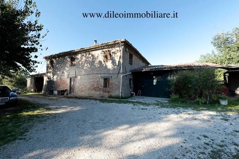 Rustico, Pesaro — foto 5 di 5