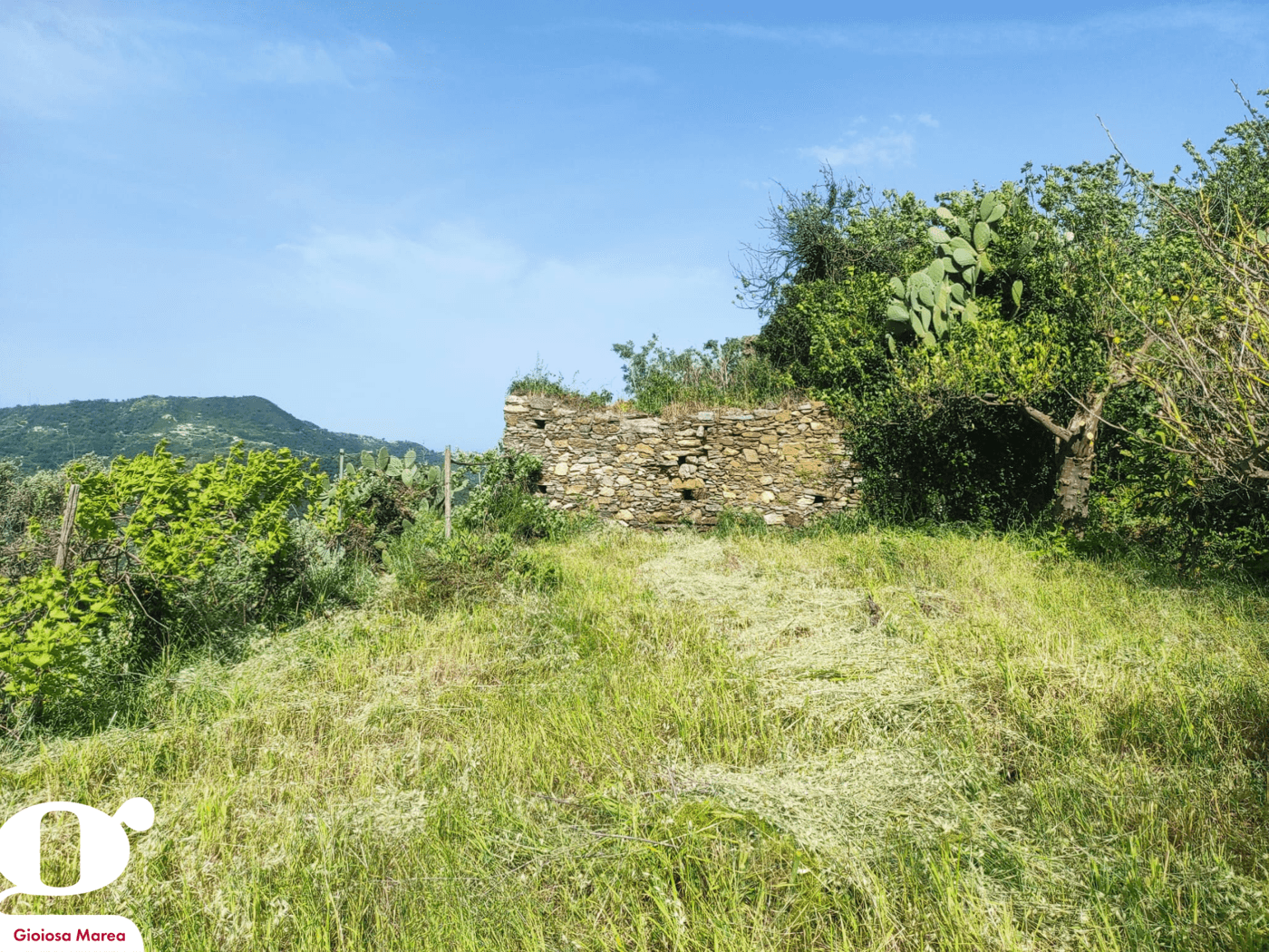Casa indipendente in Cda San Filippo Snc, Gioiosa Marea