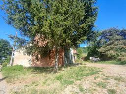 Rustico, Maranzana