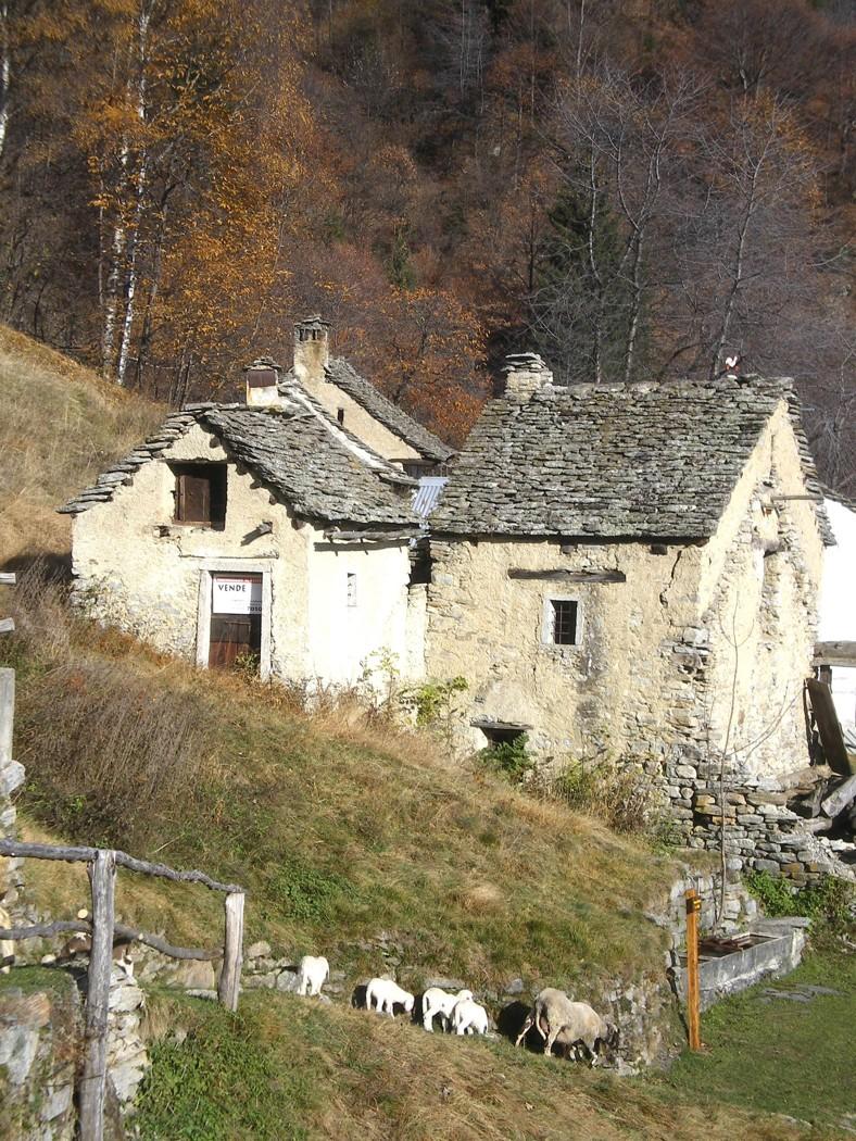Rustico in Alpe Nava -, Varzo