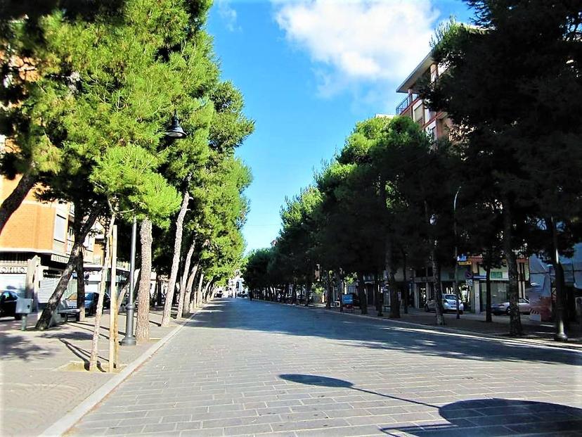 Trilocale in Via Benedetto Cairoli Snc, Porto San Giorgio — foto 5 di 5