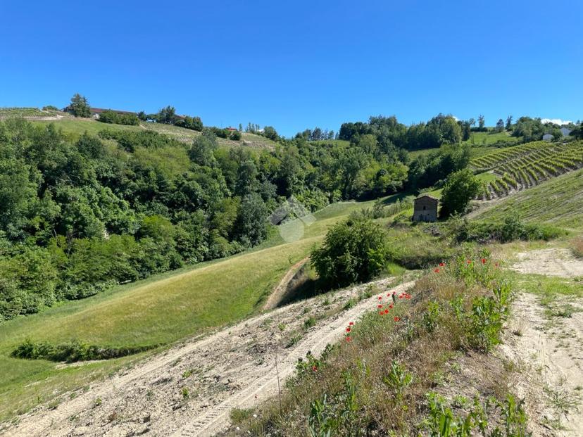 Rustico in Regione Chiesa, Cassinasco — foto 4 di 5