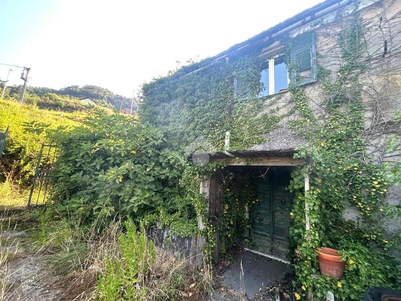 Casa indipendente in Via Pernecco Superiore 12, Serra Riccò — foto 2 di 5