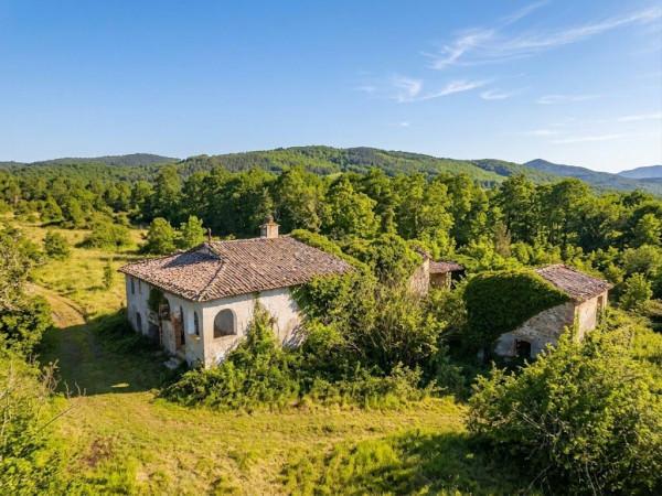 Rustico in Strada Provinciale delle Pinete, Monticiano — foto 2 di 5