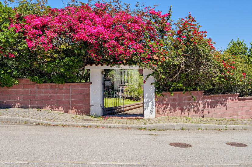 Casa indipendente in Viale Concas Caddinas 11, Golfo Aranci — foto 2 di 5