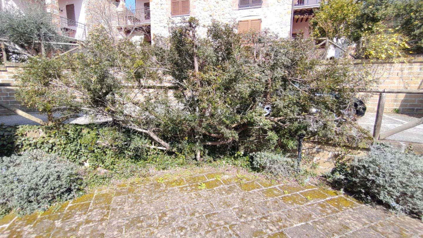 Trilocale, Manciano