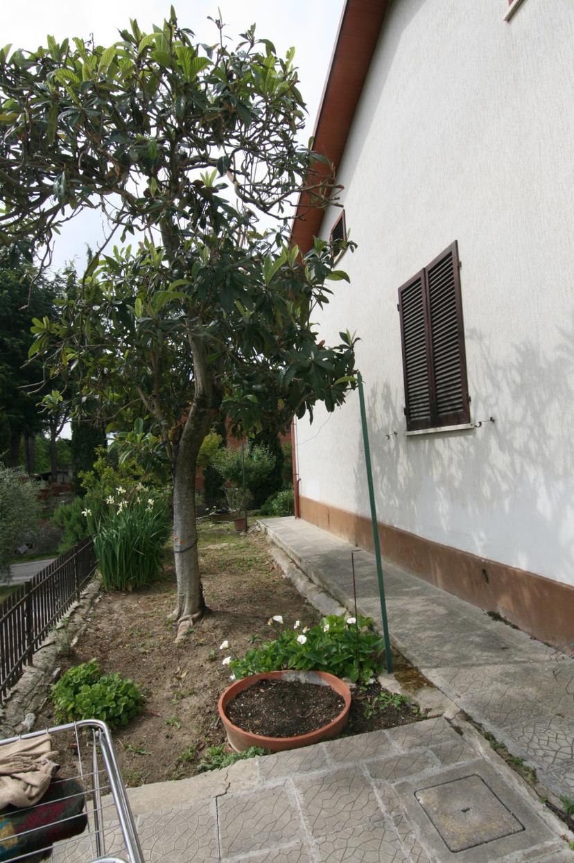 Casa indipendente, Foiano della Chiana — foto 2 di 5