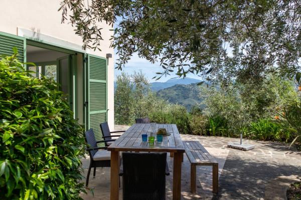 Villa, Dolceacqua — foto 5 di 5