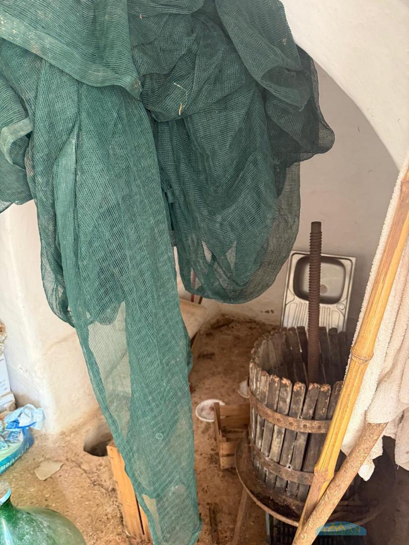 Trullo in Contrada Capece, Francavilla Fontana — foto 5 di 5