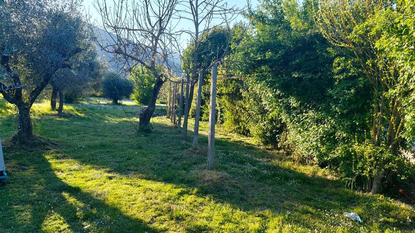 Porzione di villa, Segni — foto 3 di 5