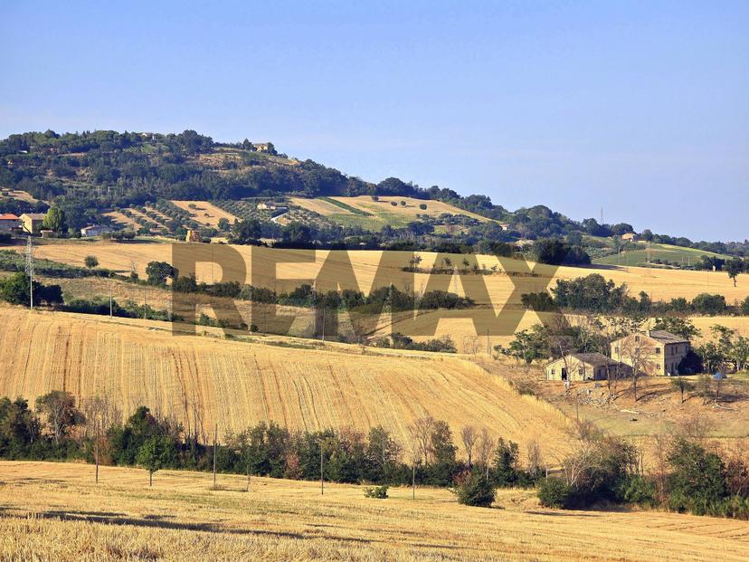 Rustico, Potenza Picena — foto 3 di 5
