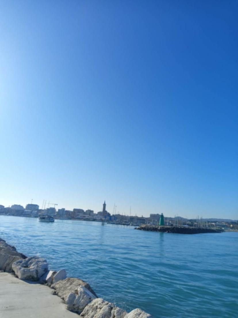 Trilocale, Civitanova Marche — foto 4 di 4