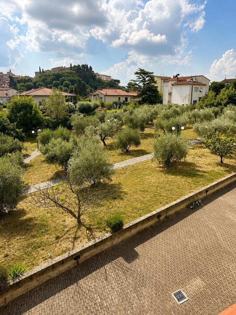 Trilocale, Campiglia Marittima — foto 3 di 5