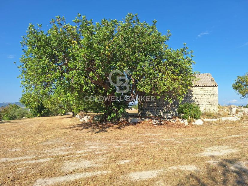 Rustico in Vanella 192 Sn, Modica — foto 4 di 5