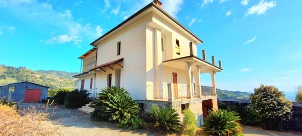 Villa bifamiliare in Strada Madonna del Carmine, Vallebona — foto 2 di 5
