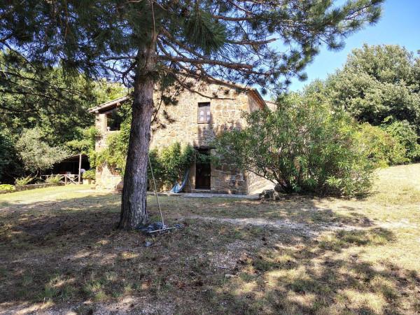 Casale, Sorano — foto 5 di 5