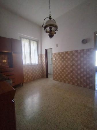 Villa bifamiliare in Viale Dante Alighieri, Lugo — foto 2 di 5