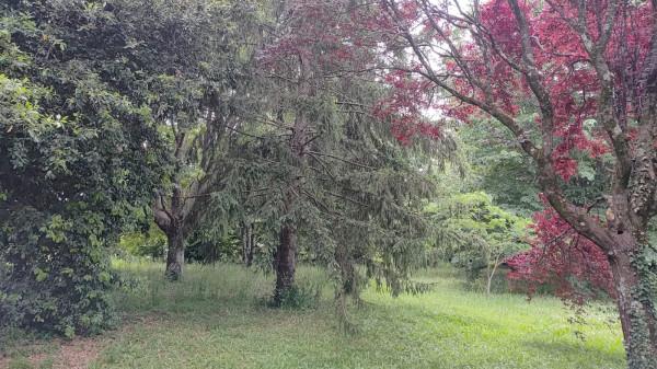 Villa in Località Valle Bisogna, Sorano — foto 5 di 5