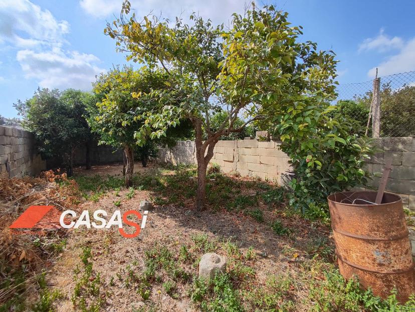 Casa indipendente in Via Piave, Giurdignano — foto 3 di 5