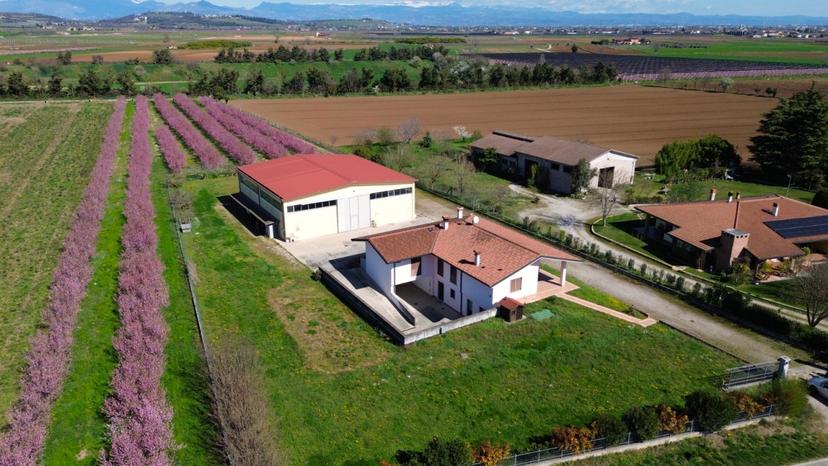 Villa, Villafranca di Verona — foto 3 di 5