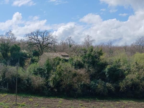 Casale in Strada Provinciale Mazzocchio, Vetralla — foto 4 di 5