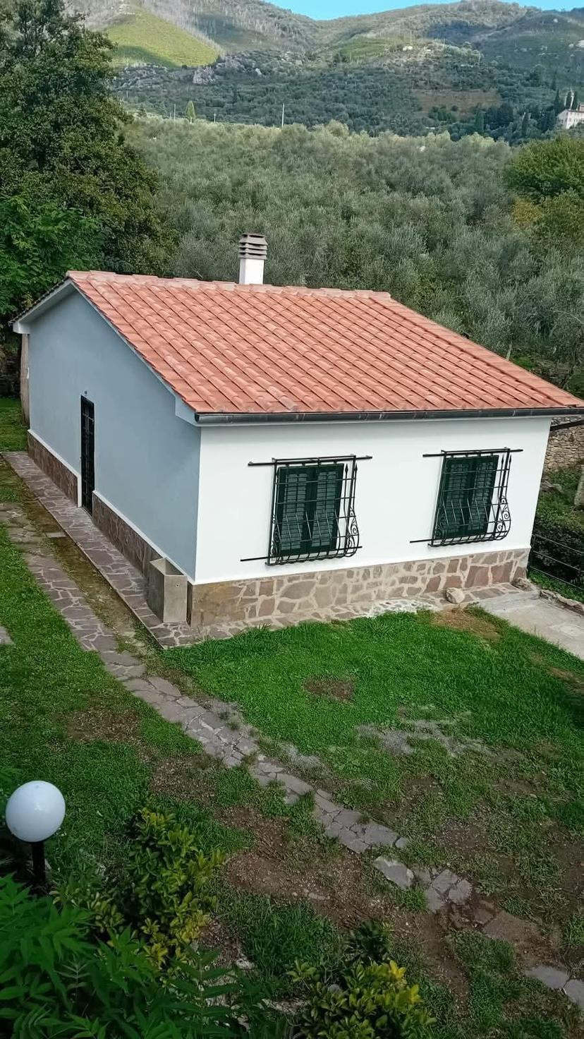 Villa, Calci — foto 4 di 5