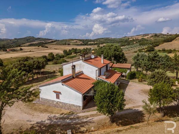 Rustico in Strada Provinciale Cinigianese, Cinigiano — foto 2 di 5