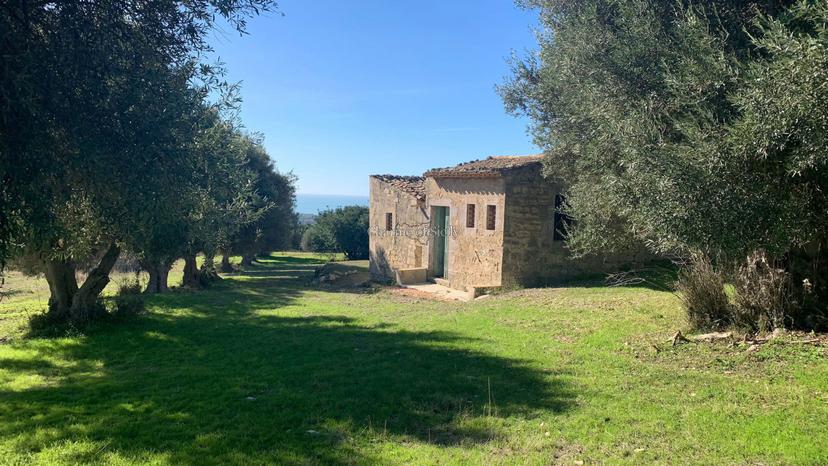 Rustico in Strada Provinciale 56, Scicli — foto 2 di 5