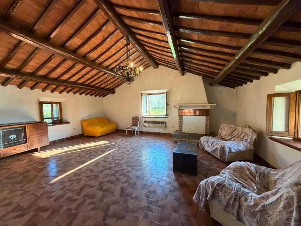 Casale in Vocabolo Bagno, Orte — foto 3 di 5