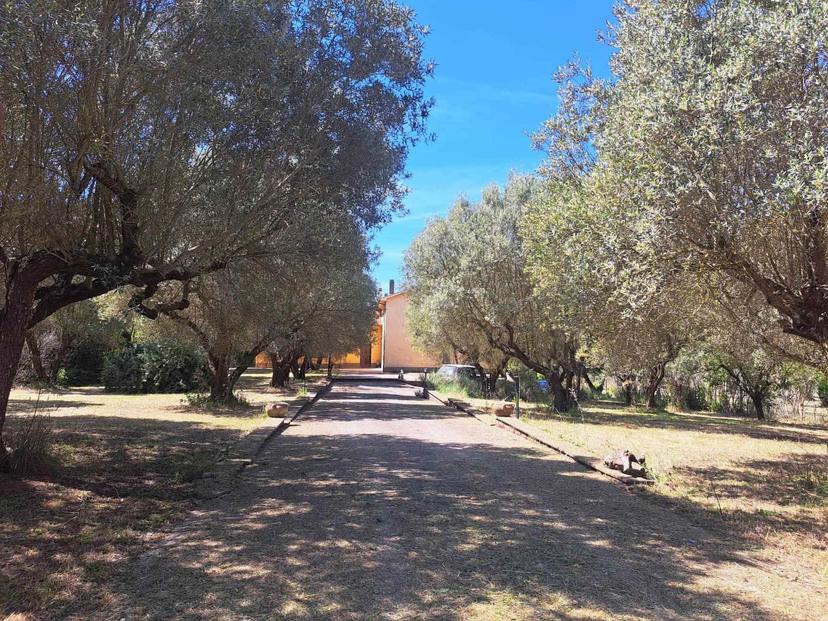 Villa in Via della Cava, Vetralla — foto 4 di 5